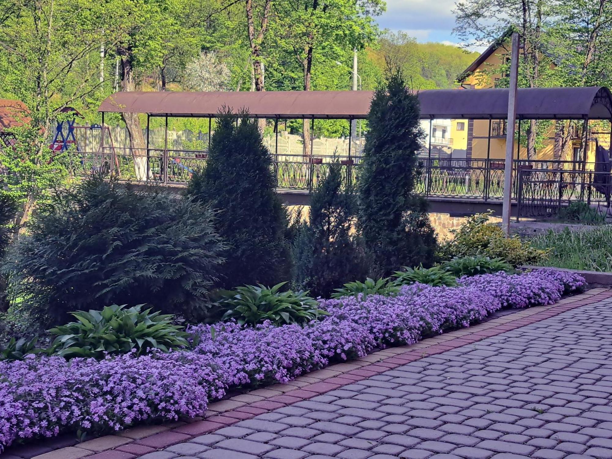 Hotel Сонячна Соната Polyana  Exterior foto